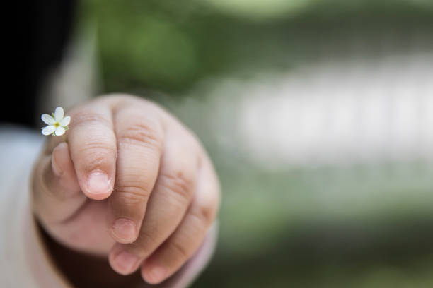 istock Small flowers in a baby hand 1154067577