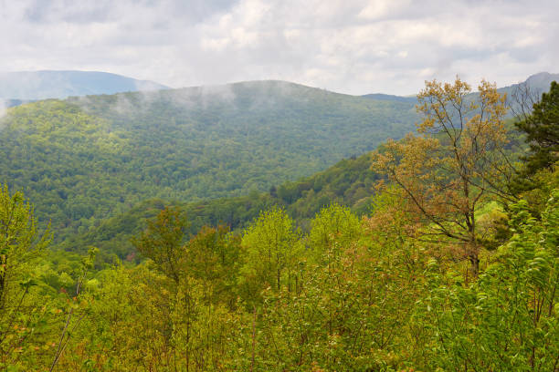 istock Spring in the Blue Ridge Mountains near Charlottesville, Virginia 1154068765
