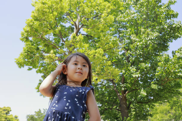 istock Japanese girl in green (4 years old) 1154080644