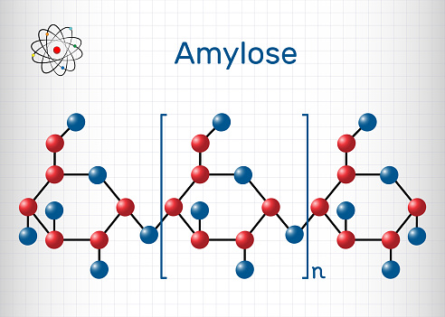 Amylose molecule. It is a polysaccharide and one of the two components of starch. Structural chemical formula and molecule model. Sheet of paper in a cage. Vector illustration
