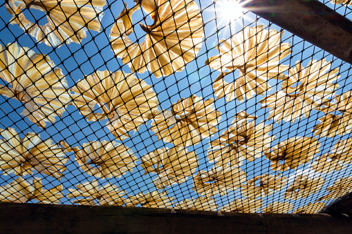 Dried Stingrays fish. The preserved fishes, cut and clean the fishes lay on a net then dry in the sun light at the fishing village