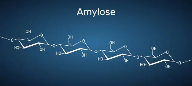 Vector illustration of Amylose molecule. It is a polysaccharide and one of the two components of starch. Structural chemical formula on the dark blue background