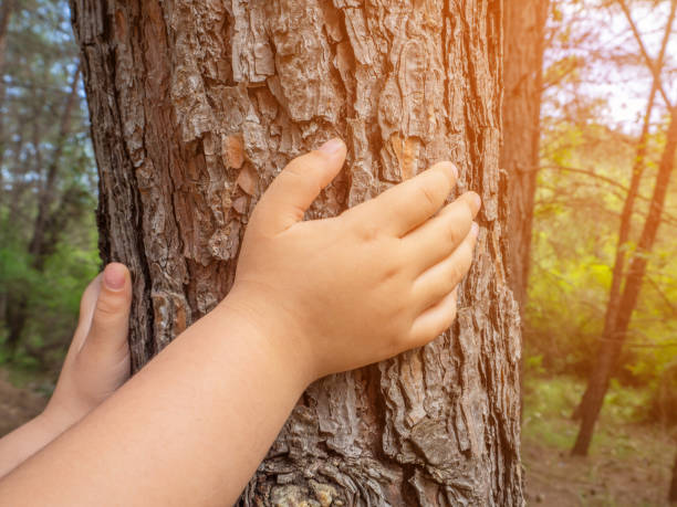 istock girl touching tree in the forest in spring 1154087973