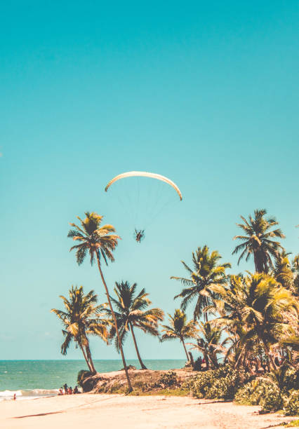 Paramotors flying to blue sky. Adventure man active extreme sport pilot flying in sky with paramotor engine glider parachute in beautiful beach Paramotors flying to blue sky. Adventure man active extreme sport pilot flying in sky with paramotor engine glider parachute at beach in Coqueirinho, Paraiba, Brazil miami parachuting stock pictures, royalty-free photos & images