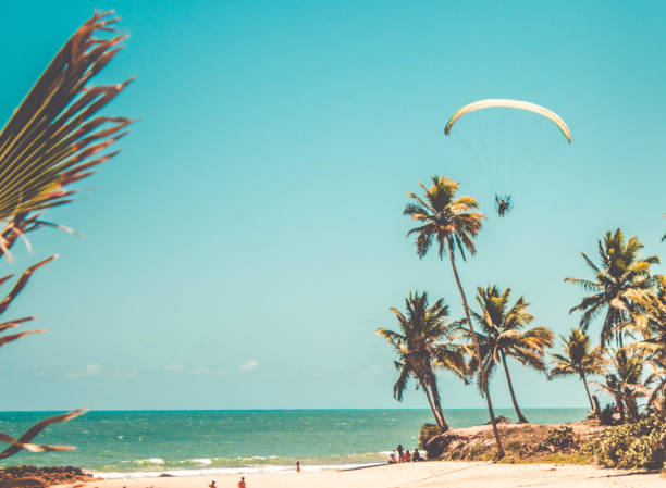 Paramotors flying to blue sky. Adventure man active extreme sport pilot flying in sky with paramotor engine glider parachute in beautiful beach Paramotors flying to blue sky. Adventure man active extreme sport pilot flying in sky with paramotor engine glider parachute at beach in Coqueirinho, Paraiba, Brazil miami parachuting stock pictures, royalty-free photos & images