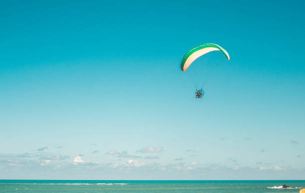 Paramotors flying to blue sky. Adventure man active extreme sport pilot flying in sky with paramotor engine glider parachute in beautiful beach Paramotors flying to blue sky. Adventure man active extreme sport pilot flying in sky with paramotor engine glider parachute at beach in Coqueirinho, Paraiba, Brazil miami parachuting stock pictures, royalty-free photos & images
