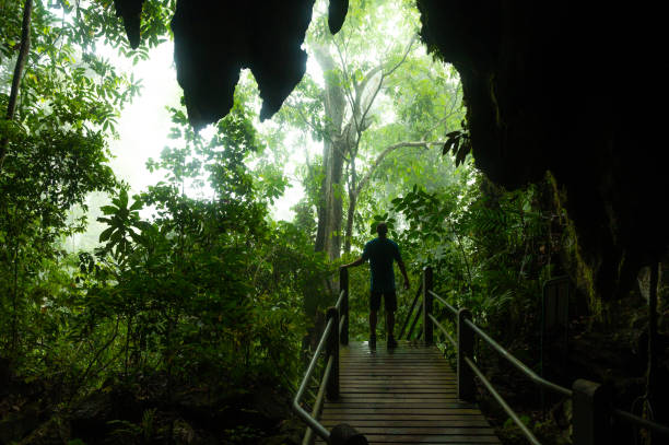 ムル国立公園の洞窟を出る男性観光客 - グヌンムル国立公園 ストックフォトと画像