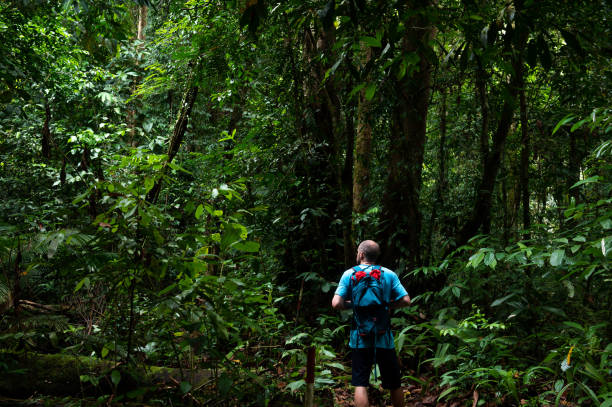 istock Male tourist hiking through thick jungle 1154094446