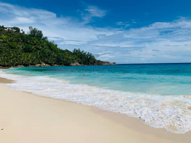 istock Anse stewardship Mahe-beach paradise 1154097943