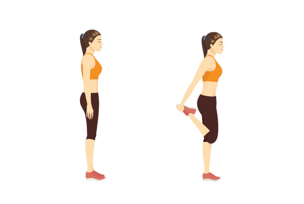 ilustrações, clipart, desenhos animados e ícones de mulher que faz o exercício do estiramento com estiramento do quadríceps ao estar. - human muscle women flexing muscles female