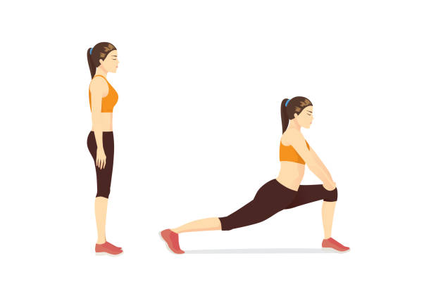 ilustrações, clipart, desenhos animados e ícones de mulher fazendo flexor hip estiramentos para liberar a tensão e ganhar flexibilidade em seus quadris. - human muscle women flexing muscles female