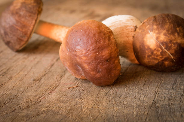 istock A boletus on an old oak table . Autumn. Mushroom picking 1154102434