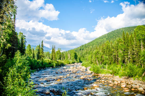 istock pure mountain river. warm Sunny summer day. 1154102493