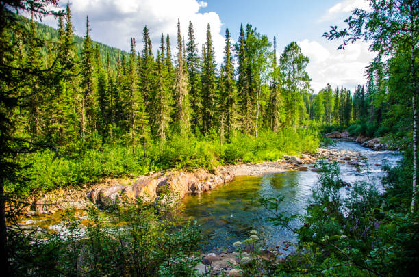 istock pure mountain river. warm Sunny summer day. 1154102525