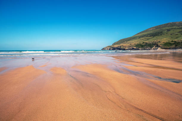 istock Sandy beach. Ocean on a sunny day 1154105053