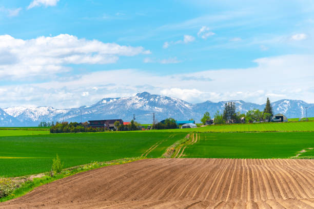 istock rural landscape with mountains 1154105215