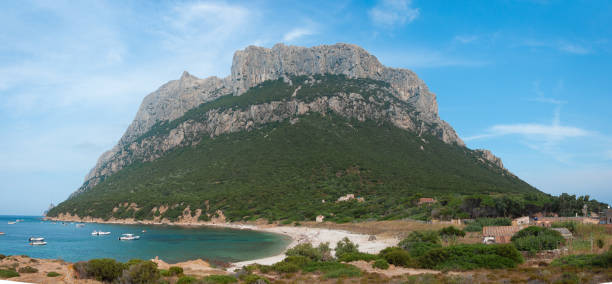 istock Tavolara Island. Sardinia. Italy 1154105317
