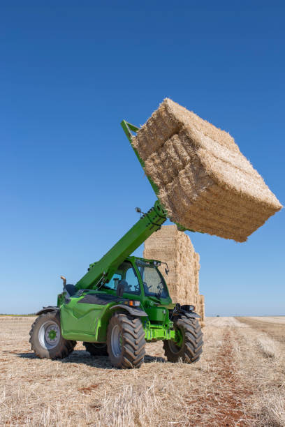 istock Telescopic machinery for agricultural sector 1154105540
