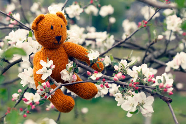 istock Little teddy bear sits back in the summer garden 1154110284