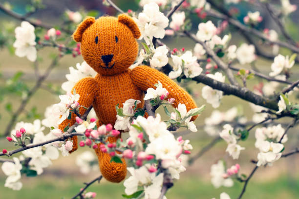 istock Little teddy bear sits back in the summer garden 1154110327