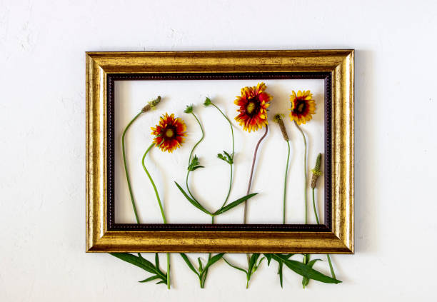 istock Flowers in the frame on a white background. Minimal concept. Creative. 1154111477