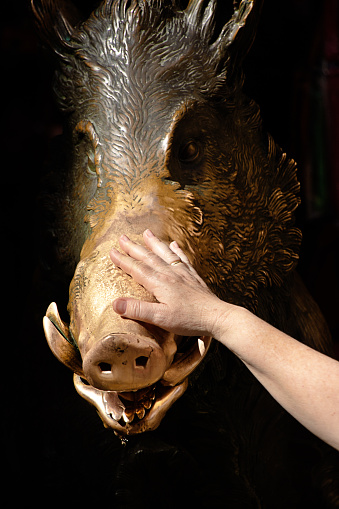 Il Porcellino, la fuente de cerdo del jabalí de bronce en Mercato Nuovo, Florencia photo