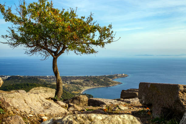 vista sul mar egeo e sulla baia di kadirga dal tempio di atena - ayvacık foto e immagini stock