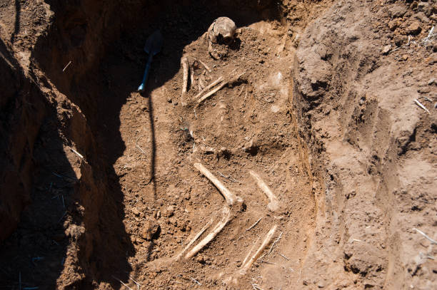 istock Skeleton soldier of the Second World War 1154113301