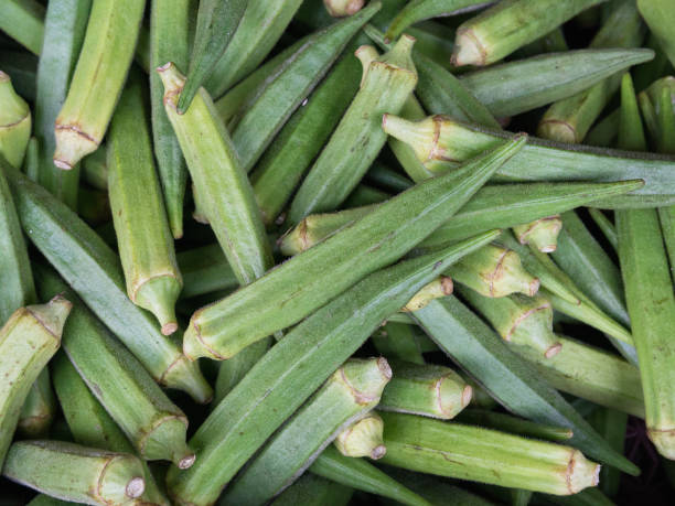 istock Okra or Lady's finger 1154113511