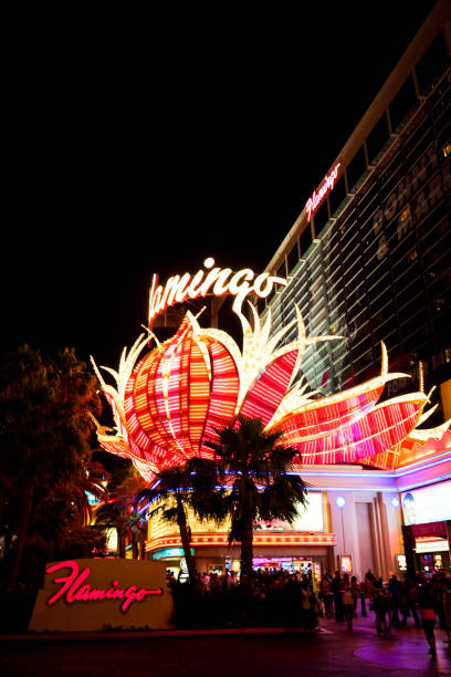 flamingo hotel and casino di notte a las vegas, nevada, stati uniti - las vegas metropolitan area the las vegas strip casino sign foto e immagini stock