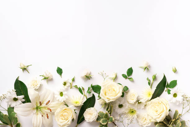 istock Spring composition of rose flowers on white background with copy space. Creative layout. Flat lay. Top view. Summer minimal concept. 1154114778