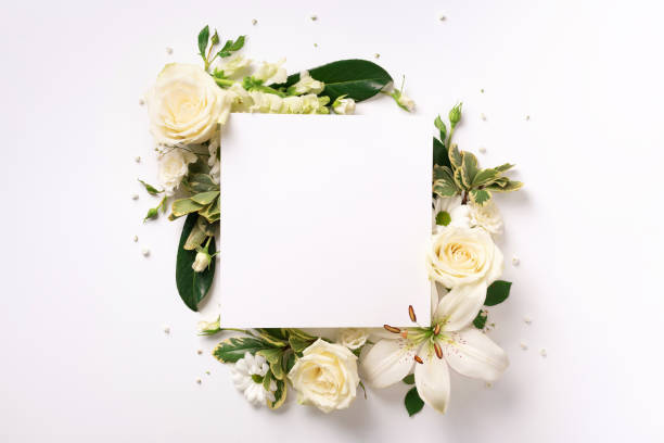 istock Summer composition of white flowers on light paper background with copy space. Creative layout. Flat lay. Top view. Spring minimal concept. 1154114782