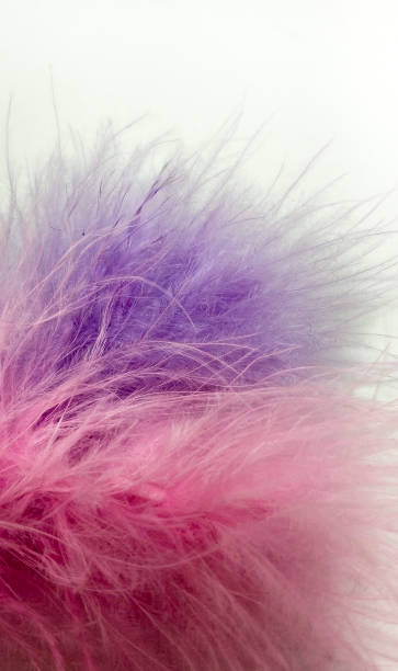 istock Pink and purple small feathers close-up on white background 1154118658