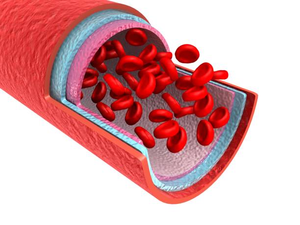 istock Red Blood Cells With Wain 1154120341