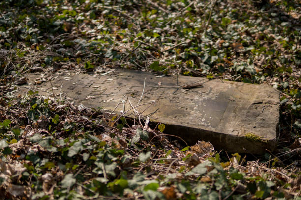 istock Old jewish graveyard with matzevah 1154120592