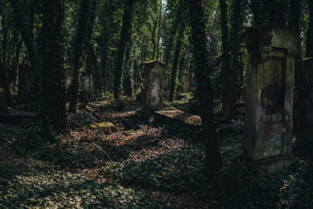istock Old jewish graveyard with matzevah 1154122209