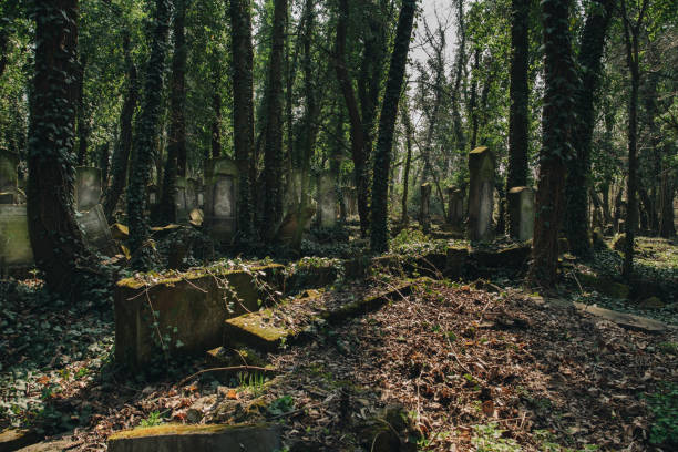 istock Old jewish graveyard with matzevah 1154122270