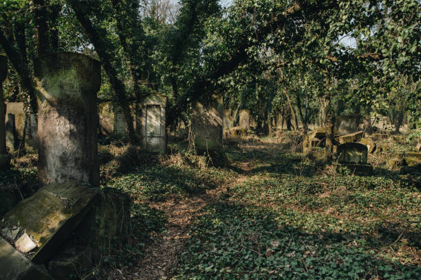 istock Old jewish cemetery with matzevah tombstones 1154123784