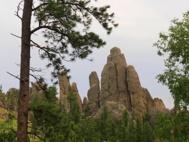 istock Rock formations, Needles Highway, South Dakota 1154124411