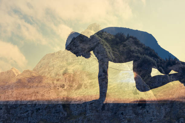 Fitness and physical health concepts.