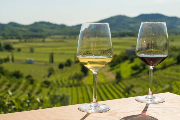 istock Wineglass against green vineyard 1154127581