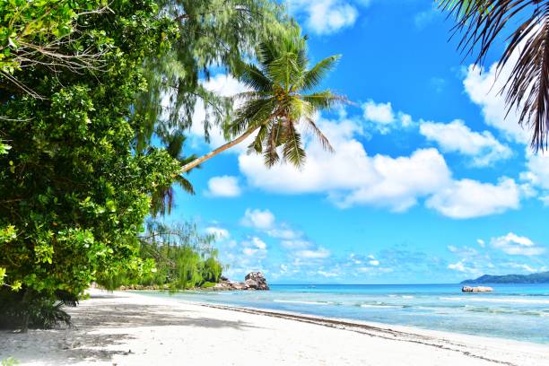 istock Anse Severe beach view on la digue island in Seychelles 1154128582