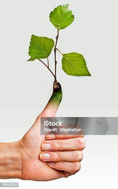 Green Thumb Stock Photo - Download Image Now - Composite Image, Plant, Beginnings