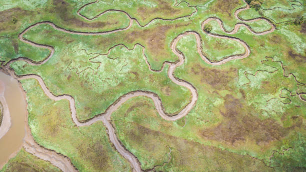 istock aerial view of marshland 1154134338