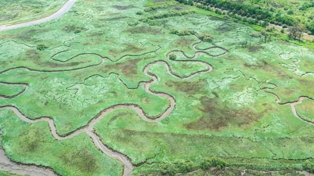 istock aerial view of marshland 1154135109