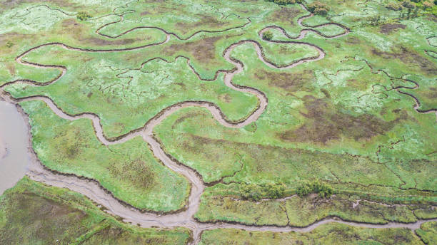 istock aerial view of marshland 1154136910