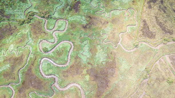 istock aerial view of marshland 1154136911