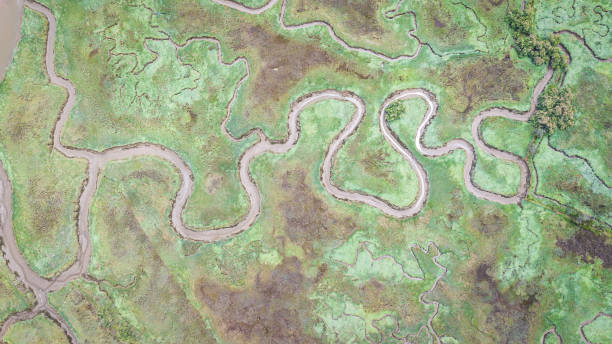 istock aerial view of marshland 1154138725