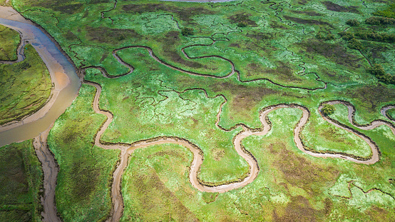 beautiful shapes of marsh from above view