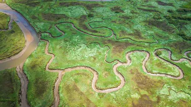 beautiful shapes of marsh from above view